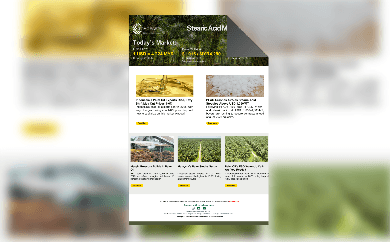 RBD Palm Olein Market Update - 30 July 2025