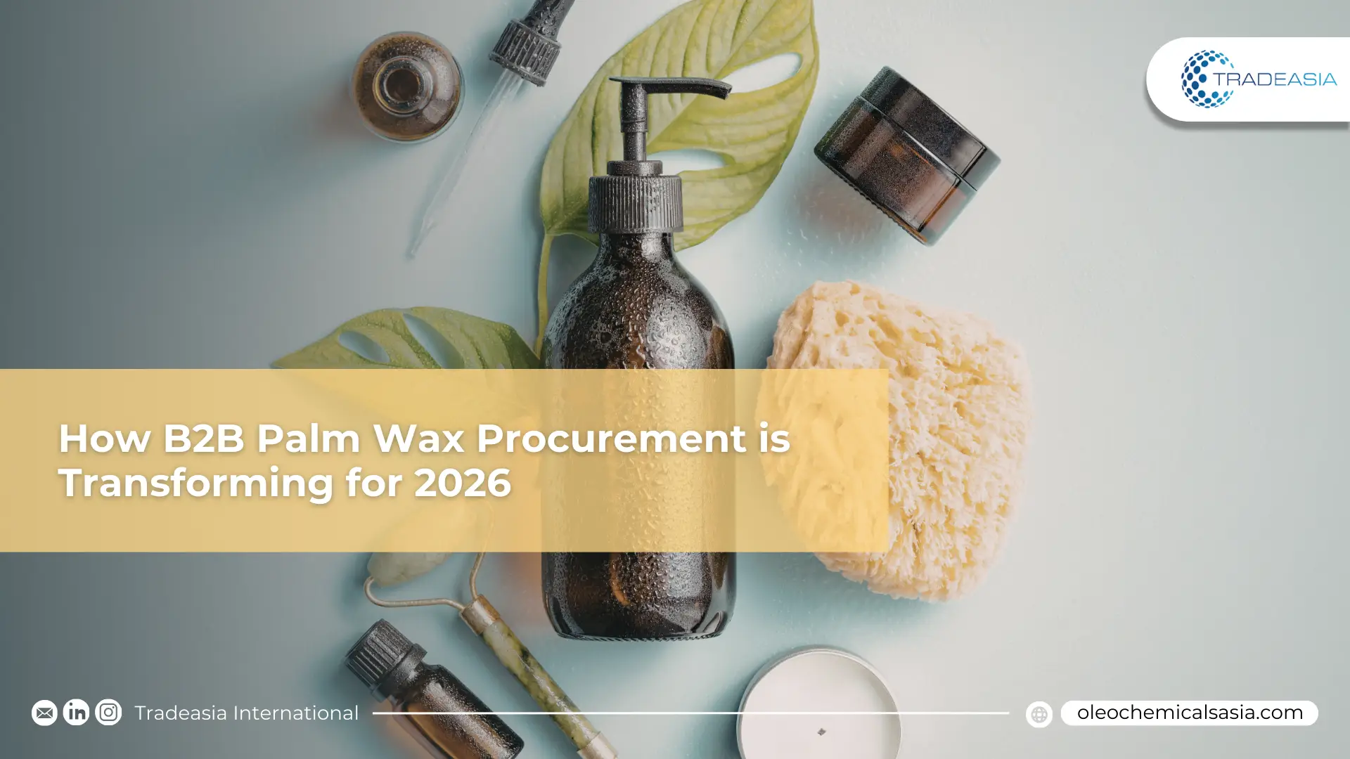 The Green Chemistry Pivot: How B2B Palm Wax Procurement is Transforming for 2026