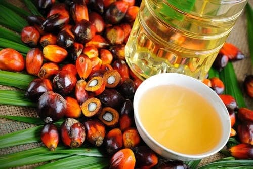 RBD Palm Oil