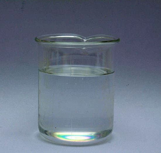 Octyl Alcohol
