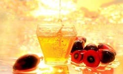 زيت نواة النخيل RBD